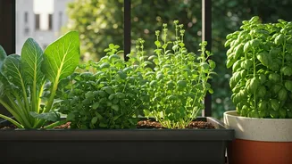 This Green Trend Is Worth Following