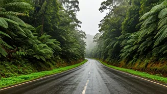 Fresh Rain Makes Coorg Roads Look Unreal