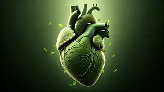 Navigating Health: Expert Tips and Insights for a Better You