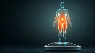 Air India's New BMI Policy: Cabin Crew Fitness Standards and Consequences