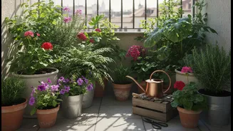 Balcony Gardens Need Less Romance, More Maintenance