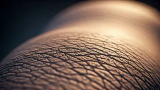 Dehydration's Impact: Your Skin's Silent Struggle