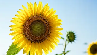 Finding Love After a Split: Self-Love First!