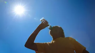 Chennai weather: Scorching heat today, hot and humid conditions to persist in coming days