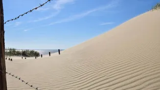 Seeking something offbeat? Explore Lithuania's top sand dunes