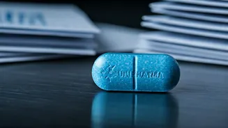 LIC Increases Stake in Sun Pharma: A Closer Look