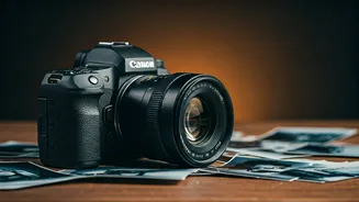 Triptii Dimri's Early Days: Throwback to 2016 Modeling