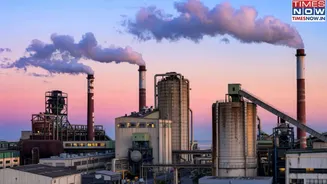 Are Delhi Schools Open Today Amid Hazardous AQI Levels?