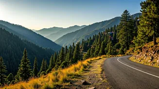 Paras Arora's Shimla Sojourn: A Much-Needed Break for Rejuvenation and Inspiration