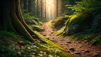 One Walk Can Be The Whole Plan