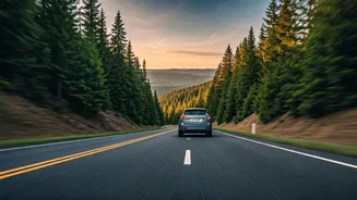 Pet-Friendly Routes Are Perfect For Short Breaks