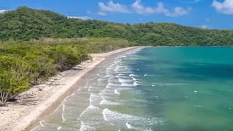 Community-Led Mangrove Bio-Shields Strengthen Eastern Coastal Shoreline Resistance Against Heavy Surge Waves