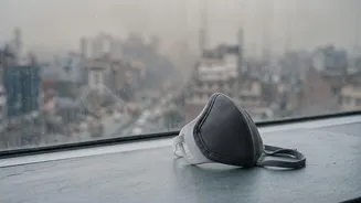 Children's Pollution Masks: Limits Of Masks On Very Polluted Days