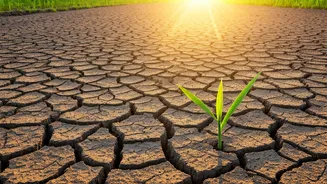 Uneven July Monsoon Could Hit Monthly Budgets