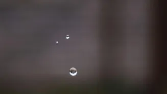 What Weak August Rains Mean for Mumbai's Water and Daily Life