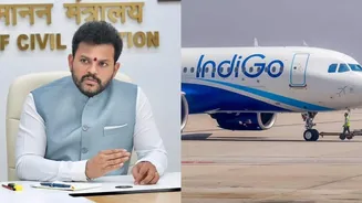 Aviation minister addresses Rahul Gandhi's 'monopoly' charge over IndiGo chaos