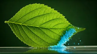 Unveiling Magnesium Deficiency: Causes, Signals, and Expert-Recommended Treatments