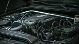 Delectable Dishes: Healthy Meals to Savor