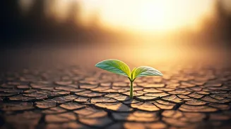 International Day of Happiness 2026: Cultivating Joy in a Fast-Paced World