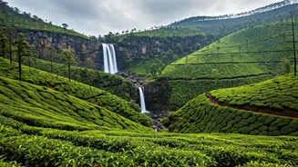 Wayanad Misty Hills Offer Dream Settings For Couple Shoots