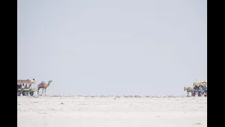 GK: Which Is India’s Largest District? It's 31 Times The Size Of Delhi, Larger Than Several States