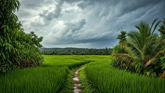 Goa Monsoon Is The Anti-Peak-Season Escape