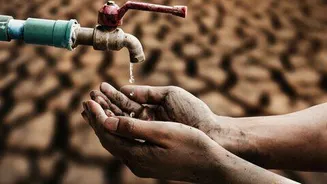 Andhra Pradesh declares drought in 388 mandals across 21 districts