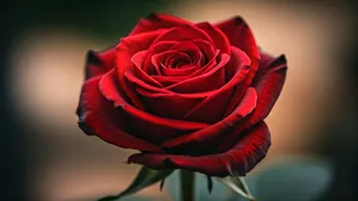 Daily Love Forecast: October 22, 2025