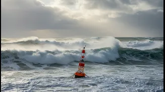 El Nino Studies Show Complexity Before Confidence