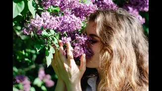 Understanding Seasonal Allergies: Causes and Relief