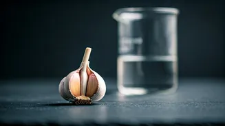 Can Garlic Replace Metformin for Pre-Diabetes? Expert Insights on Blood Sugar Management