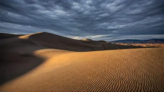 Sam Dunes Make Rain-Shadow Travel Look Beautiful