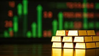 Stock Picks for the Year 2025: Market Outlook