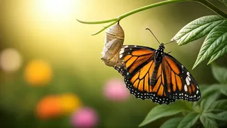 Gemini's Daily Forecast: Embrace Rebirth & New Beginnings