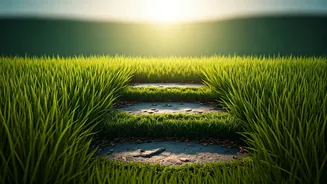 Embrace Your Stumbles: How Mistakes Forge Valuable Life Experience