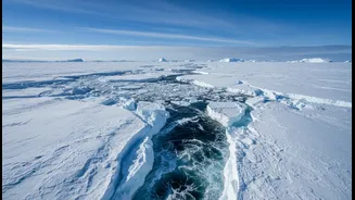 Antarctica's Missing Ice Has Entered The Feed