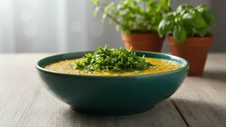 More Chennai Homes Are Choosing Balcony Herb Gardens For Fresh Daily Ingredients