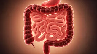 Ditch Macro Counting Young India Shifts Focus Towards Gut Health