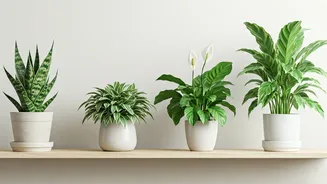 Related Stories banner