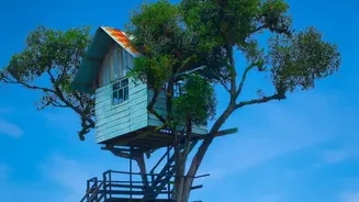 How Bamboo Treehouse Accommodations Redefine Eco Friendly Travel In Wayanad