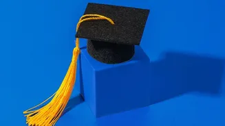 How Fresh Grads Can Build Portfolios Without Clients Using Self-Initiated Projects