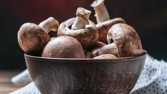 Mushrooms Offer B Vitamins While Zucchini Adds Vitamin C And Potassium, As Neither Vegetable Is Universally Better