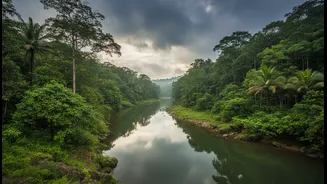 Monsoon Cruise Tourism: New Low-Impact Riverbed Routes Draw Millennial Micro-Cationers Nationwide