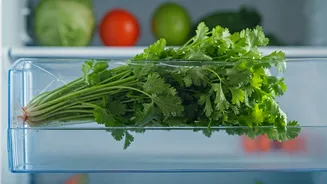 The Simplest Dhaniya Storing Hack Is Dominating Home Kitchen Feeds