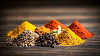 Culinary Delights: A Journey Through Indian Cuisine