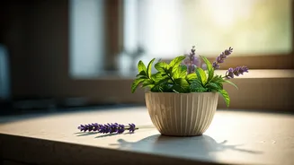 Banish Buzzing: 5 Natural Strategies to Keep Your Home Fly-Free