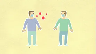 Understanding Chandipura Virus: Symptoms, Risks, and Prevention