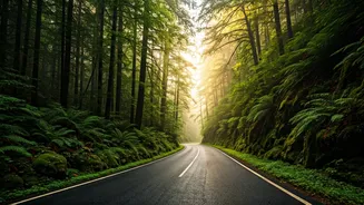 Lush Landscapes Are Pulling Travellers Northeast Again