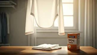 Revive Your Wardrobe: Banishing Musty Storage Smells from Clothes