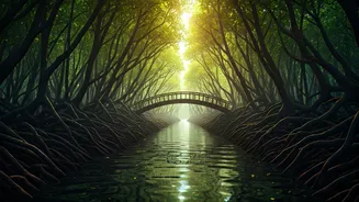 Mangroves, Rivers And Bridges Beat Basic Hill Trips